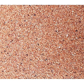 Hạt giống cây gỗ bạch đàn trắng - 1 gói 50gram