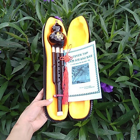 Mua Sáo bầu giả ngọc đen 1 bè