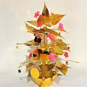 Mua Cây Kim Tiền Chiêu Tài Lộc Trang Trí (Nhiều Mẫu)