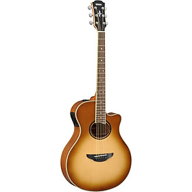 Mua Đàn Guitar Acoustic Yamaha APX700II