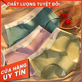 Quần Lót Nữ Cotton Cạp Su Chữ Kháng Khuẩn Cao Cấp 8858
