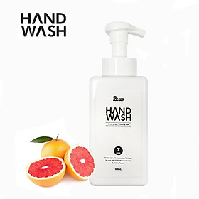 Nước rửa tay sát khuẩn MR.Zetta Hand Wash 500ml