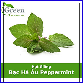 Mua Hạt Giống Bạc Hà Âu Peppermint (100 Hạt)