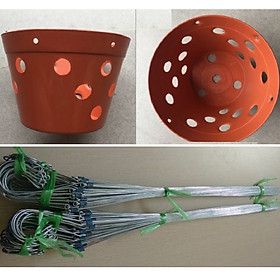 50 CHẬU GIẢ ĐẤT TRỒNG LAN FI 20 + 50 MÓC KẼM 70CM