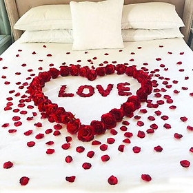 Combo 1000 cánh hoa hồng đỏ trải phòng cưới