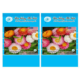 Bộ 2 Gói Hạt Giống Hoa Cúc Bất Tử - Mix Màu (Helichrysum) 100h