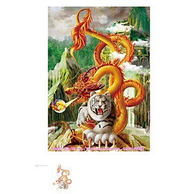 Mua Tranh đính đá Rồng Cuộn Hổ Ngồi VS495 (75x53) chưa đính