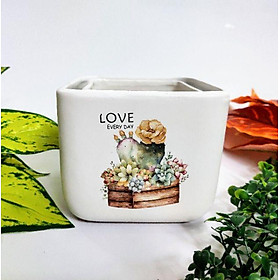 Chậu sứ hình vuông in hình, phong cách hiện đại