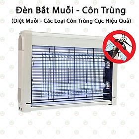 Đèn Bắt Muỗi Diệt Côn Trùng