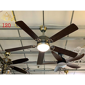 Mua quạt trần đèn trang trí
