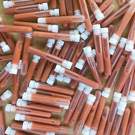 Hồ cá, Hồ Thủy sinh- Artemia Ống ấp Sẵn - Thức Ăn Cho Các Loại Cá cảnh (Ăn Trực Tiếp-KHÔNG CẦN ẤP)