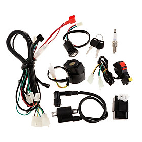 Complete Electrics Wiring Harness CDI for 150CC Pit Bike Scooter ATV Quad