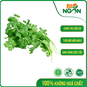 Chỉ Giao HCM - Ngò Rí Hữu Cơ Gói 50g