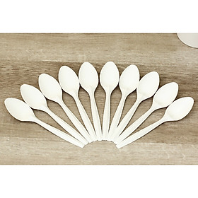 Mua Thìa Nhựa - Muỗng Nhựa đẹp (1 gói 100 thìa