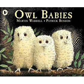 Sách - Owl Babies by Martin Waddell (UK edition, paperback)