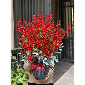 Cành đào đông đỏ 12 nhánh cao 1m ko dính quả.Cành hoa giả trang trí nội thất, decor-hoaluaminhhoa