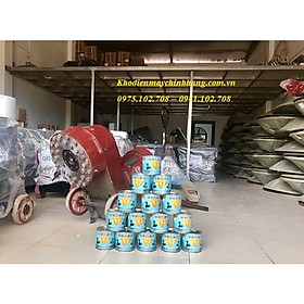 Mua MÁY MÀI SÀN BÊ TÔNG DMS 250/220V