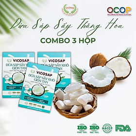 COMBO 3 hộp Dừa sáp sấy giòn cao cấp VICOSAP ít đường đồ ăn vặt healthy đặc sản Trà Vinh