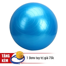Bóng Tập Yoga Da Trơn Đại Nam Sport DNS75T (75cm)