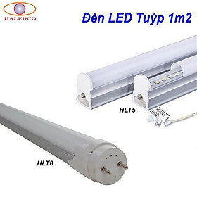Mua Đèn tuýp LED 1m2 HALEDCO cao cấp  chất lượng vượt trội