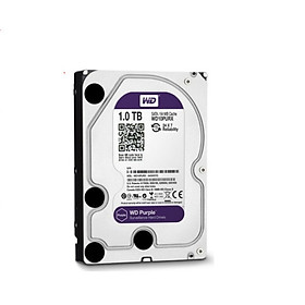 Ổ CỨNG HDD WESTERN 1TB PURPLE TÍM CHUYÊN CAMERA- HÀNG NHẬP KHẨU