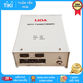 Biến Áp Đổi Nguồn Hạ Áp LIOA - Biến Áp Đổi Nguồn LiOA 3000VA ( Điện Vào 220V- Điện Ra 100/120V) - MITA