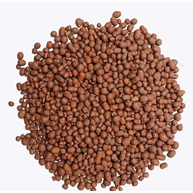 Mua Đất Sét Nung Popper Thái Lan Trồng Lan  Sen Đá  Cây Cảnh Size S