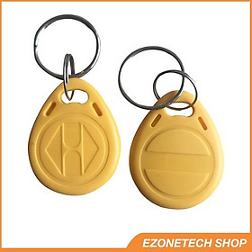 Mua Thẻ Từ RFID Tần Số 125Khz Chip T5577 Dạng Móc Khóa Sao Chép Thẻ Thang Máy