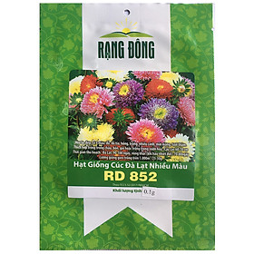 Mua Hạt Giống Cúc Đà Lạt Nhiều Màu Chịu Nhiệt Rất Tốt Rạng Đông - Shop Hạt Giống Ba Miền Chịu Nhiệt