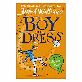 The Boy In The Dress