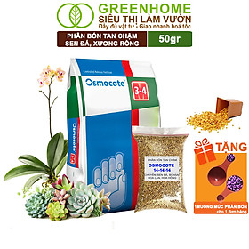 Phân Tan Chậm Greenhome, Oscomote, Bao 50gr, Chuyên Sen Đá, Hoa Hồng, Xương Rồng, Bonsai, GIúp Sen Cứng, Giữ Form, Lên Màu