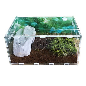 Hộp Acrylic Trong Suốt Nuôi Bò Sát