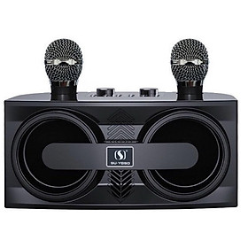Mua Loa Kèm Micro Bluetooth Karaoke YS-206 Có 2 Micro Không Dây âm thanh hay giá tốt Bảo Hành 12 Tháng