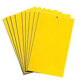Miếng Dán Bẫy Côn Trùng (20 Cái/Túi)