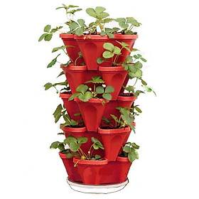 Bộ 5 chậu tháp trồng cây thủy canh / trồng cây bằng đất , chậu nhựa trồng rau , hàng cao cấp độ bên trên 5 năm tiện lợi dễ dàng sử dụng