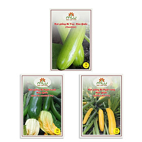 Combo 3 loại hạt giống Hàn Quốc (10 hạt/gói): Hạt giống bí ngòi Xanh + Hạt giống bí ngòi Vàng + Hạt giống bí vua MLV7 - F1, nảy mầm đến 90%, năng suất tốt, kháng bệnh cao