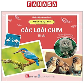 Song Ngữ Việt Anh - Khám Phá Thế Giới - Các Loài Chim - Birds