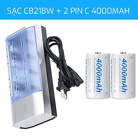 Pin Sạc Beston Cỡ C/D 4000/5000mAh Và Sạc C821BW