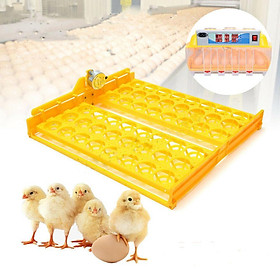2xEgg Incubator Digital Egg Turner for Poultry Chicken Duck Quail Goose Bird