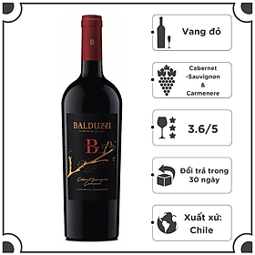 Rượu Vang Đỏ Chile Balduzzi Ultra B 2016