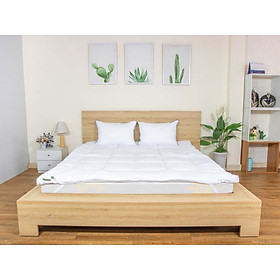 Mua Topper làm mềm nệm  tấm tăng tiện nghi  tấm lót chống thấm nệm Tatana Standard
