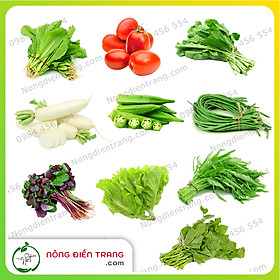 Combo 10 gói hạt giống rau củ quả dễ trồng, phổ biến, siêu tiết kiệm VTNN Nông Điền Trang