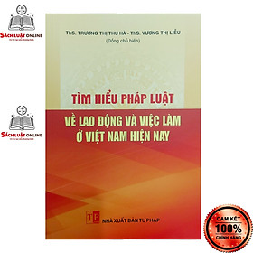 Hình ảnh Sách - Tìm hiểu pháp luật về lao động và việc làm ở Việt Nam hiện nay (NXB Tư Pháp)