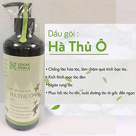 Mua Dầu Gội Thảo Dược Hà Thủ Ô 800ml Giúp Làm Chậm Quá Trình Bạc Tóc Giúp Tóc Chắc Khỏe Hàng Việt Nam