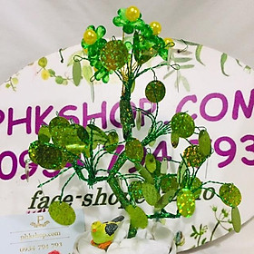 Cây trang trí mệnh mộc cao 22cm luôn tiểu cảnh ngẫu nhiên
