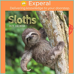 Sách - Sloths Mini Calendar 2024 by  (UK edition, paperback)