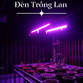 Combo 2 Đèn LED Trồng Cây và Rau Thủy Canh Trong Nhà Kính (Dài 1.2M) với anh sáng tím hồng giúp cây trồng và rau trong nhà phát triển nhanh
