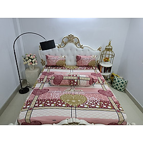 Bộ Drap gối Thun Hàn Quốc mát lạnh đủ size
