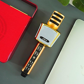 Mua Micro hát karaoke kèm loa Bluetooth không dây JVJ SD17 3 in 1 – Bass cực chuẩn - Hàng Chính Hãng
