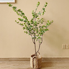 Mua Cây Thạch Nam Giả Cao 1m5 - Hàng cao cấp - Loại 1